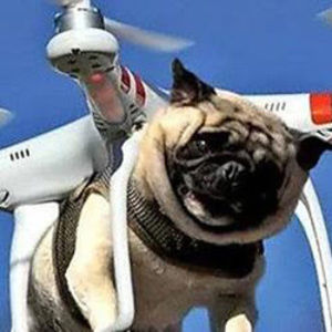 Meet your Posher, Josh